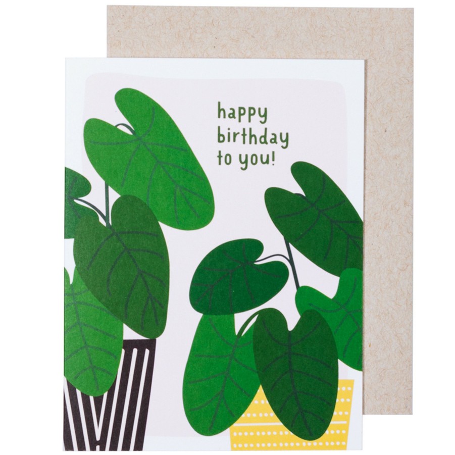 * Stationery & Cards | Birthday Plants Card By Graphic Anthology