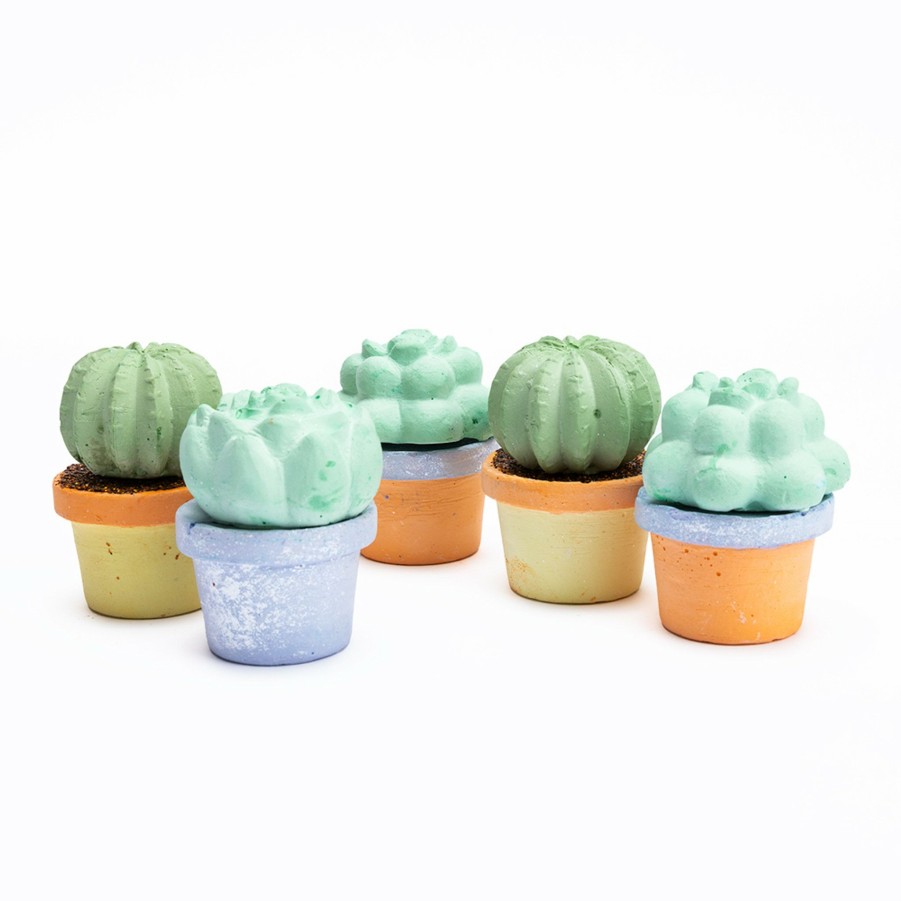 * For Kids | Maya & Sonia'S Succulent Sidewalk Chalk (Set Of 6) By Twee