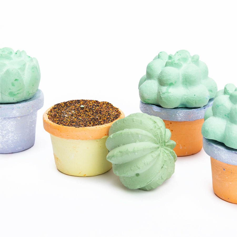 * For Kids | Maya & Sonia'S Succulent Sidewalk Chalk (Set Of 6) By Twee