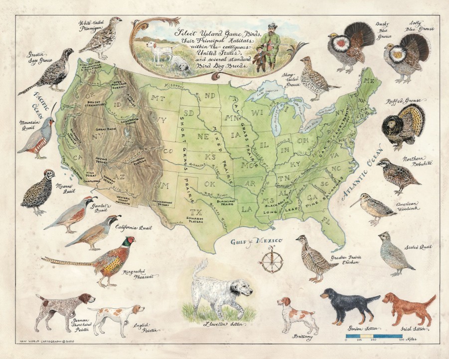 * Decor | Upland Game Birds And Bird Dogs Map By New World Cartography